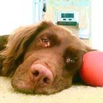 Tracy Offerdahl-McGowan - @offerdahlmcgowan - Instagram