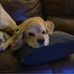 Tracey Allen McIlwain - Facebook