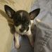 Tracy McSwain - Facebook
