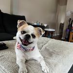 Tracy Lettich Mcvey - @doughgirl82000 - Instagram