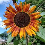 Tracy Mcvey - @tracymcvey2019 - Instagram