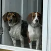 Tracy Meissner - @tracy.meissner - TikTok