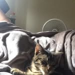 Tracy Anne Mello - @organic_anthrax - Instagram