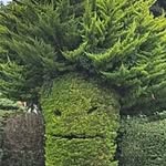 Tracey Merrifield - @tracey.merrifield.3 - Instagram