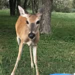 Tracey Merrifield - @merrifield_tracey - Instagram