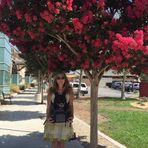 Tracy Merrifield - Facebook