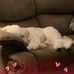Tracy Merten - Facebook