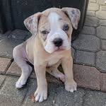 Tracy Miley - @tracy.miley.165 - Instagram