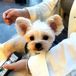 Tracy Miley - @miley_85134 - Instagram