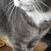 Tracy Millard - Facebook