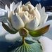 Tracey Milne - Facebook