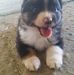 Tracy Milne - Facebook
