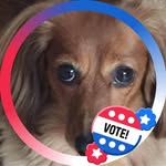 Tracy Vaughn Minnick - @vaughnminnick - Instagram