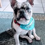 Tracy Mintz - @mintztracy - Instagram