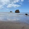 tracymohammed5 - @tracymohammed5 - TikTok