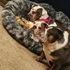 BigThreeBulldogs, LLC - @tracymonday546 - TikTok