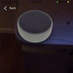 Reee - @follow_moose.tracy - Instagram