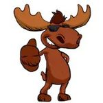 Tracy Moose Lodge - @tracymooselodge - Instagram