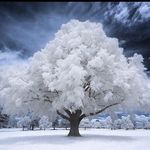 Tracy Morehead - @sunface1111 - Instagram