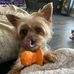Tracy Moses - Facebook
