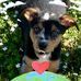 Tracy J Lunsford - Facebook