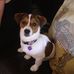 Tracy Mulligan - Facebook