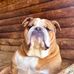 Tracey Murillo - Facebook