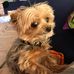 Tracie Murphree - Facebook