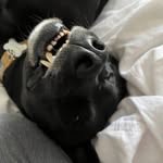 Tracy Kibler Musick - @kiblmus - Instagram