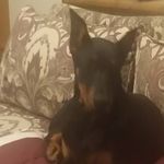 Tracy Nagy - @tracy.nagy.75 - Instagram