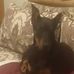 Tracy Nagy - Facebook