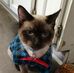 Tracy Nagy Prier - Facebook