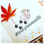 Tracy Navarro - @tracylovess_10 - Instagram