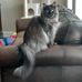 Traci Neeley - Facebook