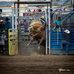 Trace Neff - Facebook