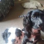 Tracy Newell - @tdnewell1970 - Instagram