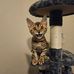 Tracy Newell - Facebook