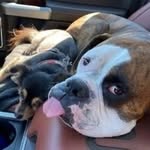 Tracy Newell - @tracynewell160 - Instagram