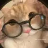 MinQ - @_tracy.ngo_ - TikTok