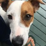 Tracey Nitschke - @nitschketracey - Instagram
