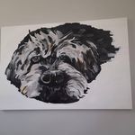 Tracey Nutt - @tracey.nutt.1 - Instagram