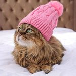 Tracy Nutt - @tracy8164 - Instagram