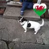 tracynuttall992 - @tracynuttall992 - TikTok