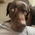 Tracy Oldham - @toldham23 - Instagram