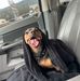 Tracy Oneal - Facebook