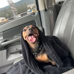 Tracy Oneal - @tracyoneal89 - Instagram