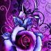 Tracy Oravec - Facebook
