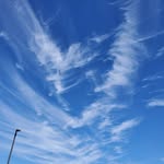 Tracy Osterhout - @osterhouttracy - Instagram