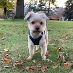 Tracy - @tracy.oster1 - Instagram