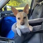 Tracy Pack - @tracypack49 - Instagram